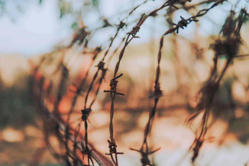 3. Be Honest About Your Priorities and Boundaries